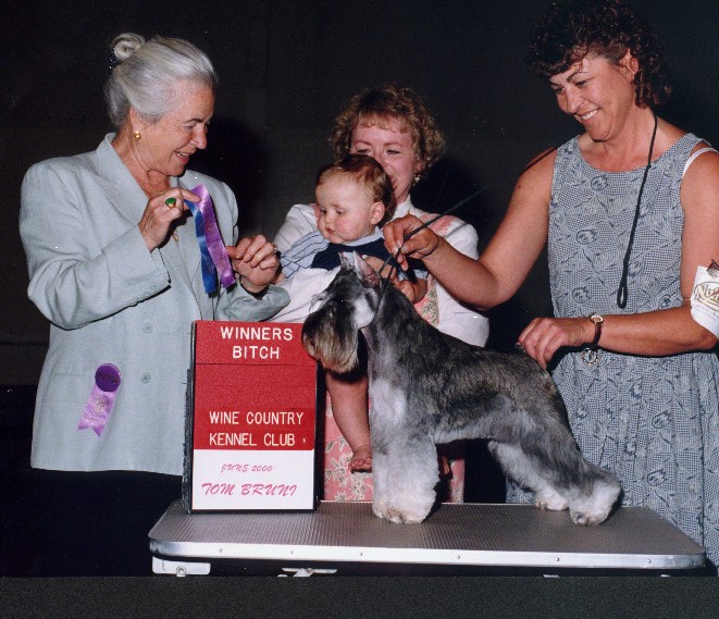 Best In Show - Bred By Exhibitor